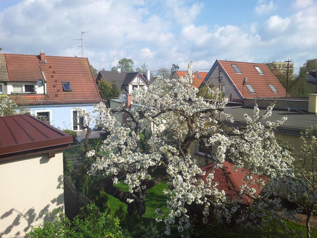 Cozy Apartment With Garden Gdańsk Zewnętrze zdjęcie